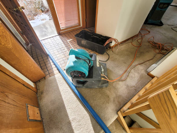 Water damage restoration insurance claims in NC