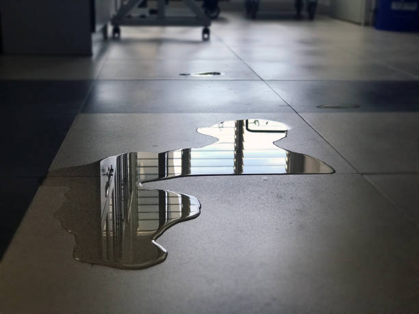 Best Water damage cleanup near me  in Granite Falls, NC